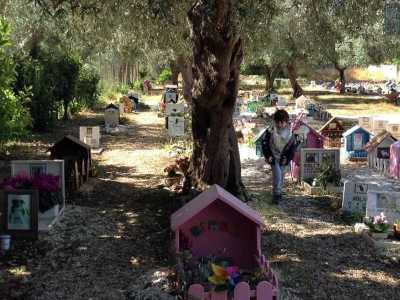 Un bambino cammina tranquillamente tra le varie lapidi incuriosito dalle foto e dai giochi